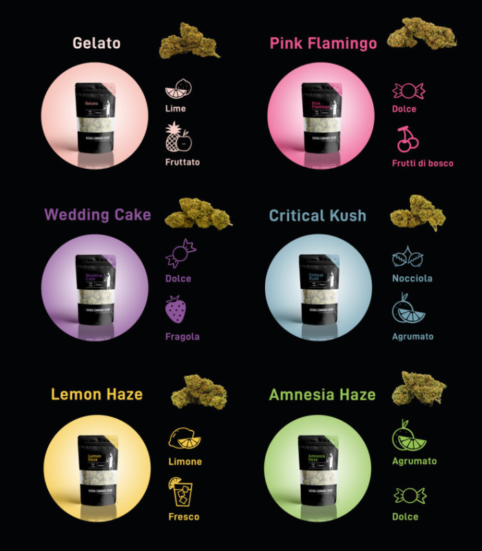 Box Infiorescenze di Erba light CBD selezionate da Narnia Cannabis Crew, con aroma fresco e sapore intenso.