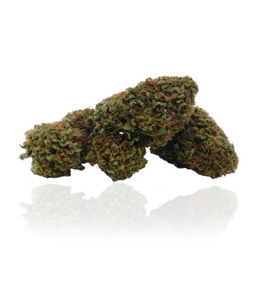 Infiorescenze di Orange Remedy Cannabis light CBD selezionata da Narnia Cannabis Crew, la migliore marijuana legale