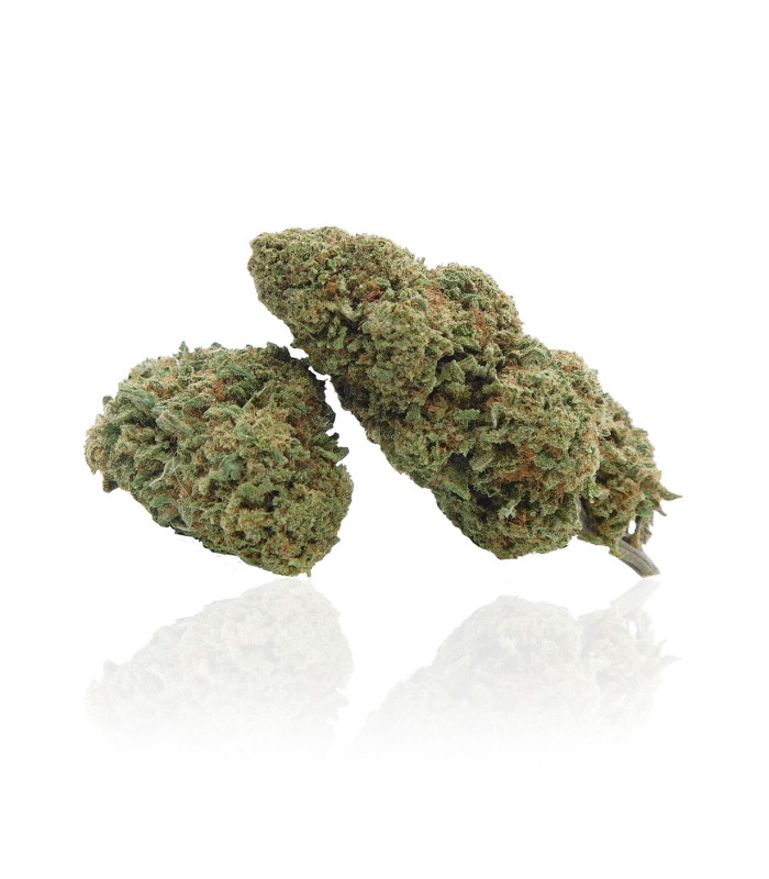 Foto Infiorescenze di Super Skunk Cannabis light CBD prodotte da Narnia Cannabis Crew, la migliore marijuana legale online