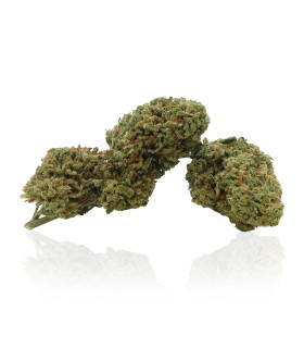 Foto Infiorescenze di White Widow Cannabis Light CBD prodotta da Narnia Cannabis Crew, la più potente marijuana legale