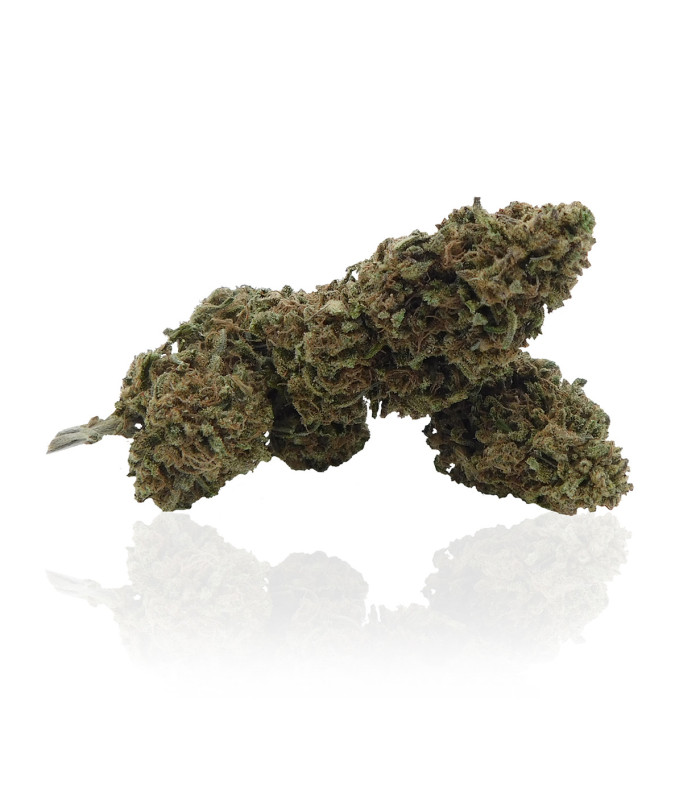 Infiorescenze di Pink Flamingo Cannabis Light CBD prodotta da Narnia Cannabis Crew, Marijuana legale di qualità