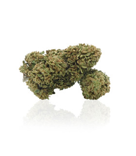 Amnesia Haze è la più potente cannabis light CBD selezionate da Narnia Cannabis Crew, la più forte erba legale in Italia