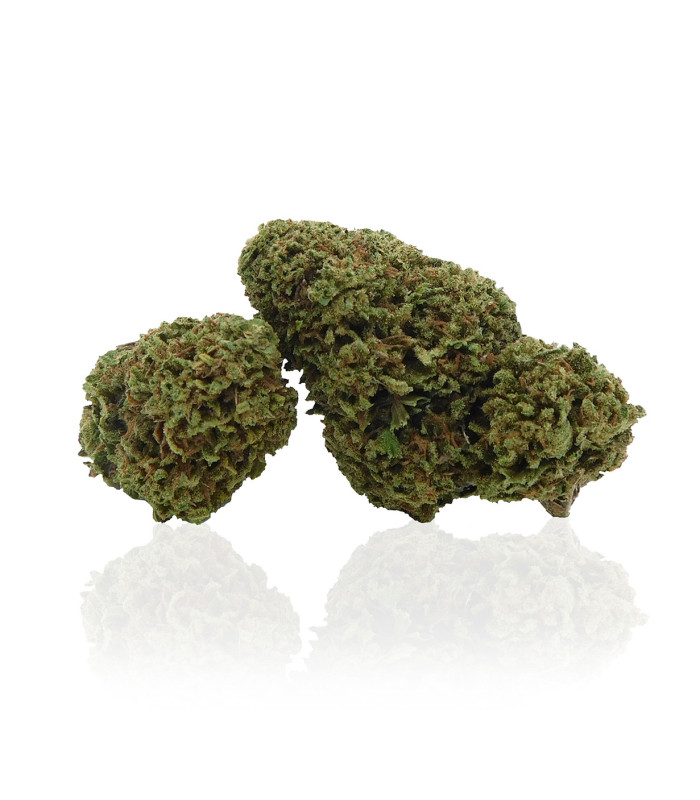 Foto Infiorescenze di Wedding Cake cannabis light cbd selezionate da Narnia Cannabis Crew, la marijuana legale in Italia