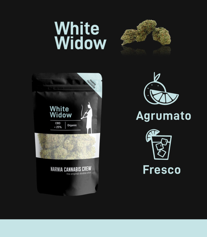Infografica infiorescenze di White Widow Cannabis Light CBD selezionate da Narnia Cannabis Crew con sapore fresco e agrumato