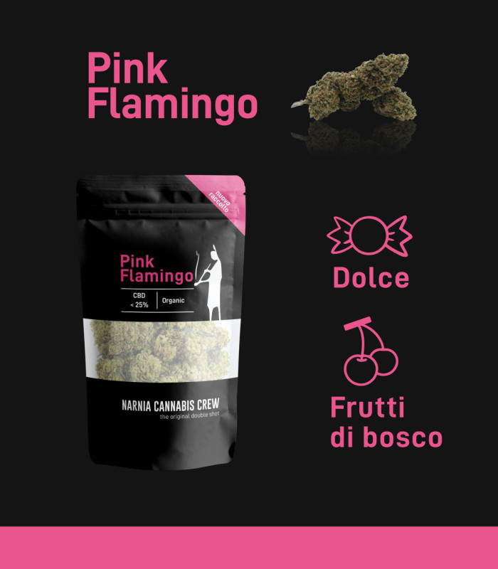 Infografica infiorescenze di Pink Flamingo erba light CBD selezionate da Narnia Cannabis Crew con aroma dolce e forte CBD