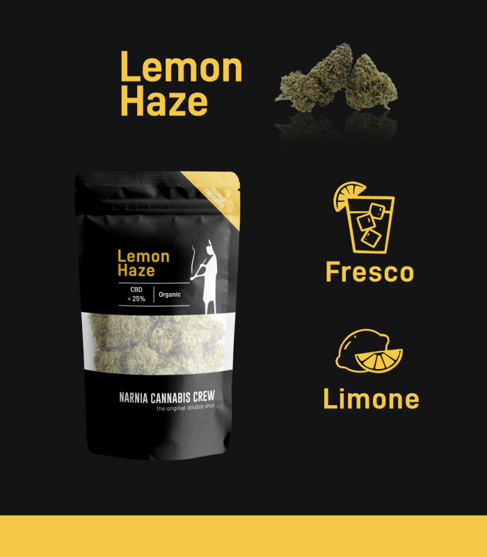 Infografica infiorescenze di Lemon Haze cannabis light CBD selezionate da Narnia Cannabis Crew con aroma fresco al limone