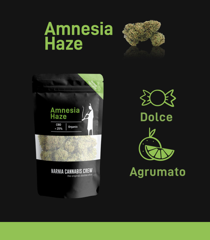 Infografica infiorescenze di Amnesia Haze erba legale selezionate da Narnia Cannabis Crew con aroma classico di marijuana