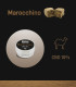 infografica Marocchino hashish legale cbd Narnia Cannabis Crew