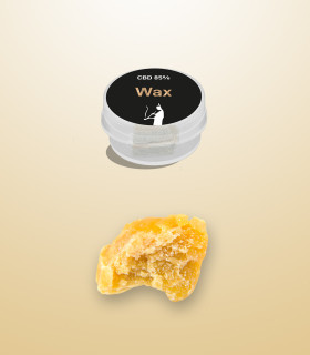 Gold Wax, premium extract di Erba light CBD prodotto da Narnia Cannabis Crew, con aroma fresco e sapore intenso.