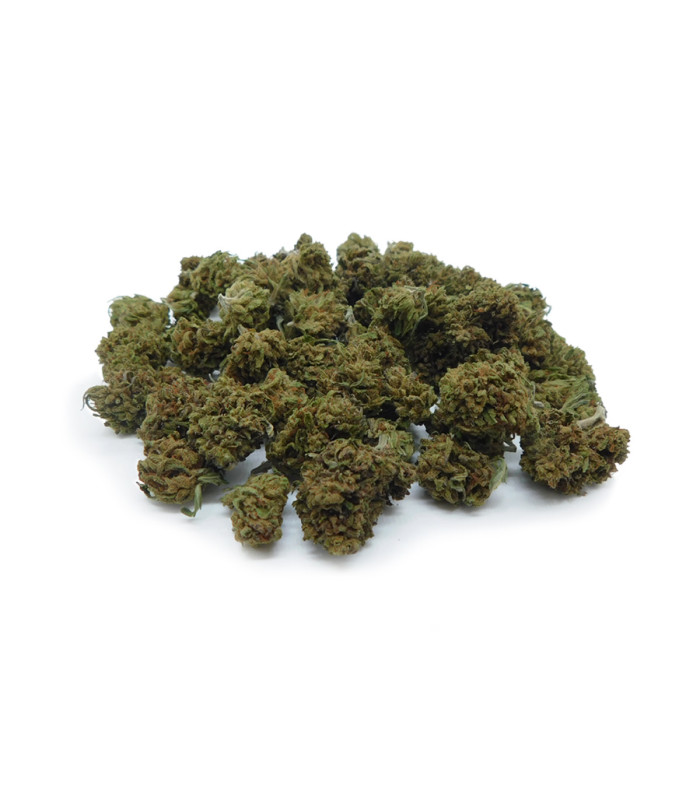 Small Buds e pop corn di erba legale White Widow. I migliori fiori piccoli di cannabis light prodotti da Narnia Cannabis