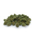 Small Buds e pop corn di erba legale Super Skunk. I migliori fiori piccoli di cannabis light prodotti da Narnia Cannabis