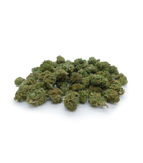 Small Buds e pop corn di erba legale Super Skunk. I migliori fiori piccoli di cannabis light prodotti da Narnia Cannabis