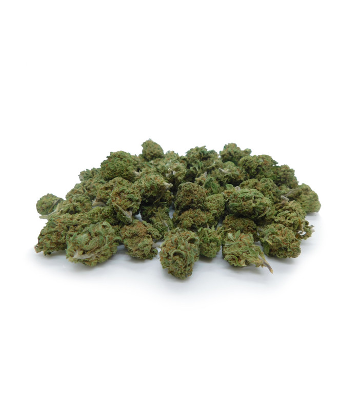 Small Buds e pop corn di erba legale Super Skunk. I migliori fiori piccoli di cannabis light prodotti da Narnia Cannabis