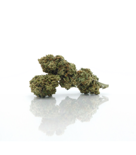 Infiorescenze di Gelato cannabis light CBD prodotta da Narnia Cannabis Crew