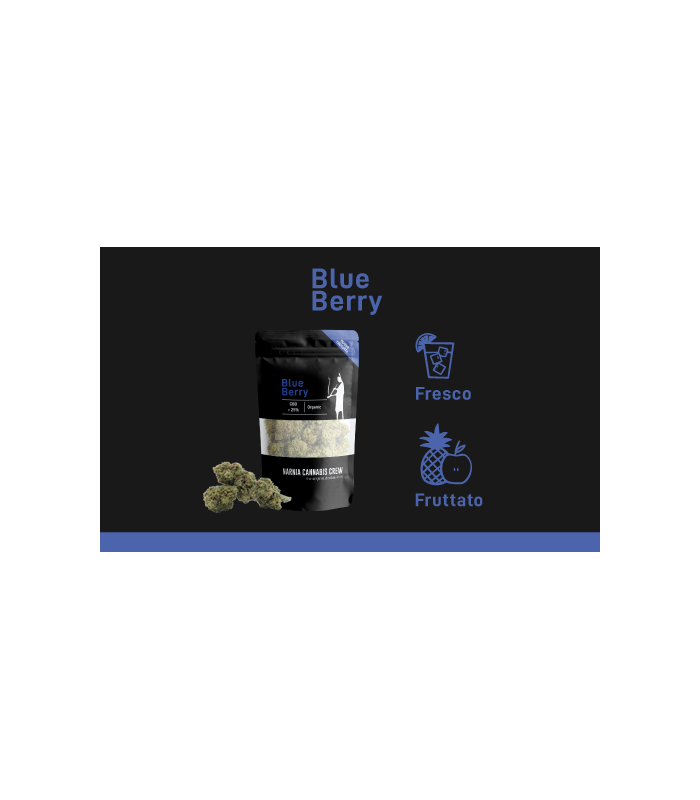 Blue Berry - Cannabis Light 100% legale e naturale | Narnia Cannabis