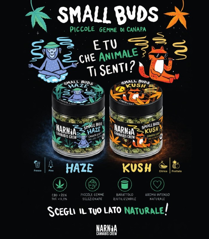 Small Buds: Haze