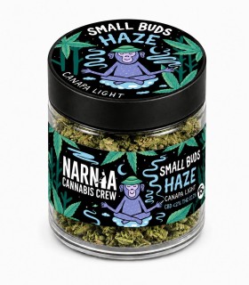 Small Buds: Haze