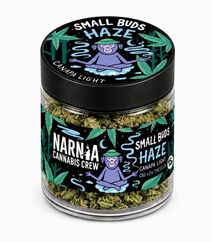Small Buds: Haze