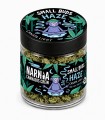 Small Buds: Haze