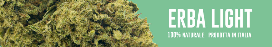 La migliore Erba light, cannabis light online, cannabis legale in Italia