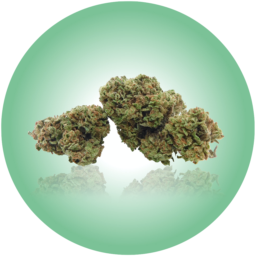 Erba light - La migliore Cannabis light in Italia è Narnia Cannabis